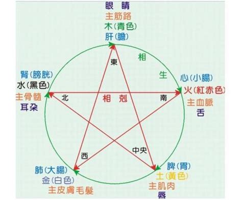 林屬五行|林的意思